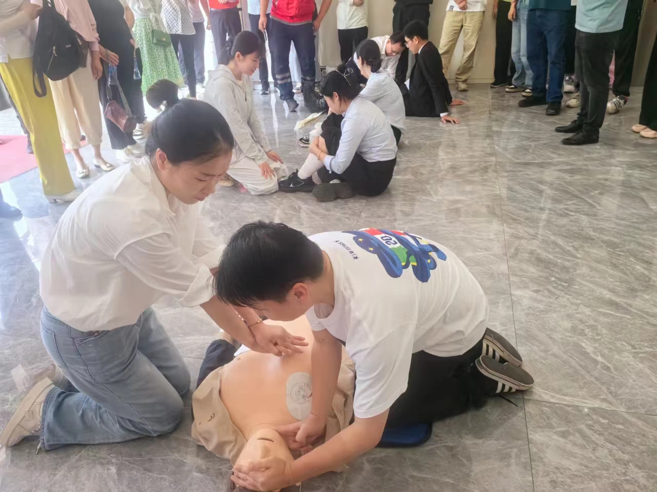 1725263144564.jpg 1725263144564.jpg