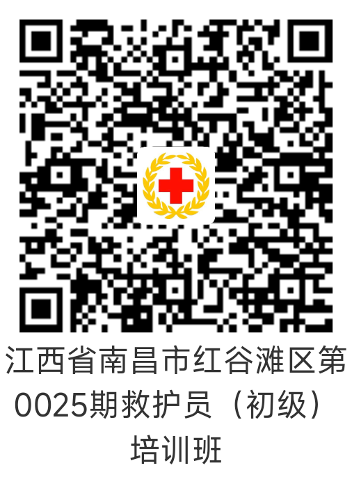 1757295006341.png