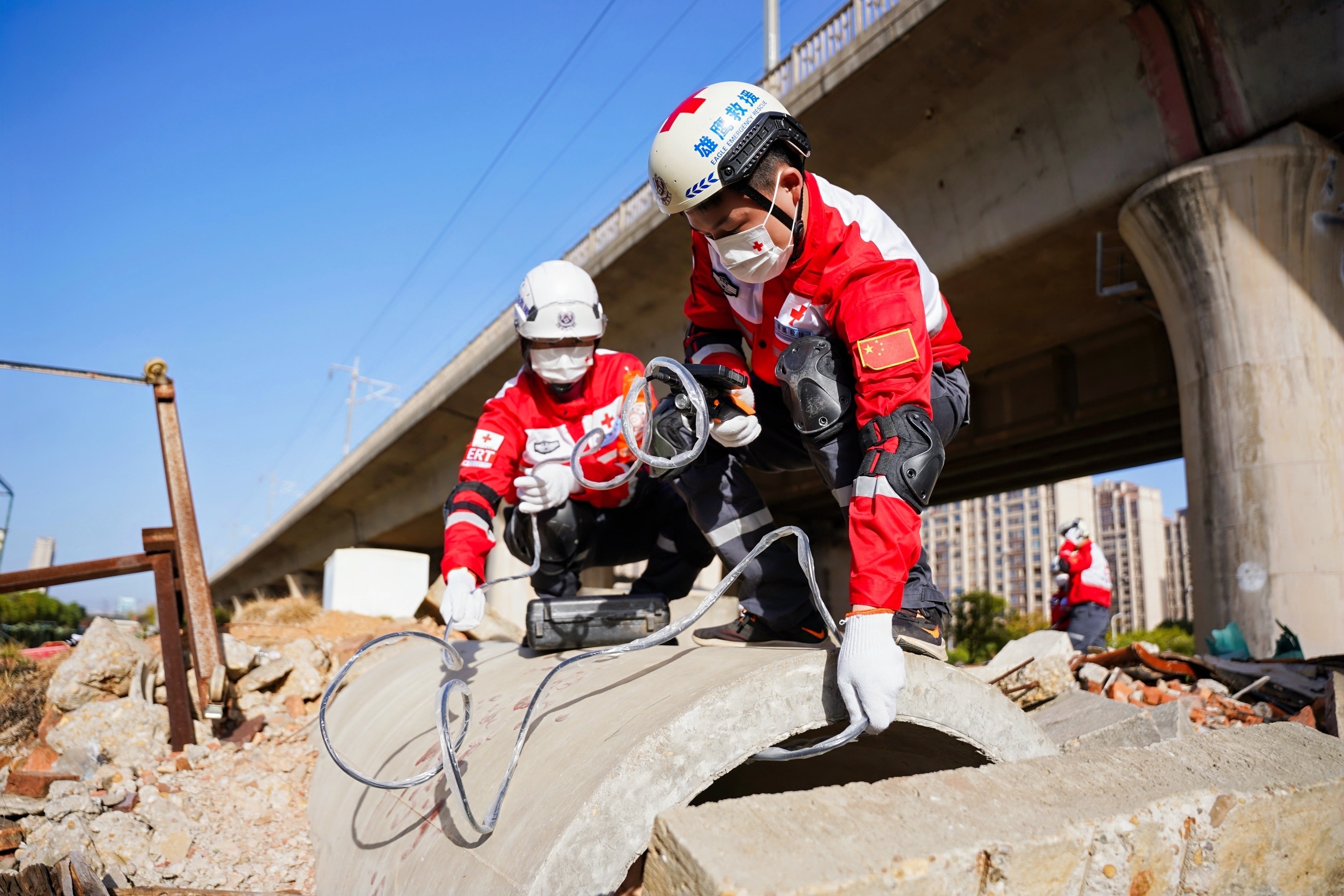 1764209598659.jpg 1764209598659.jpg