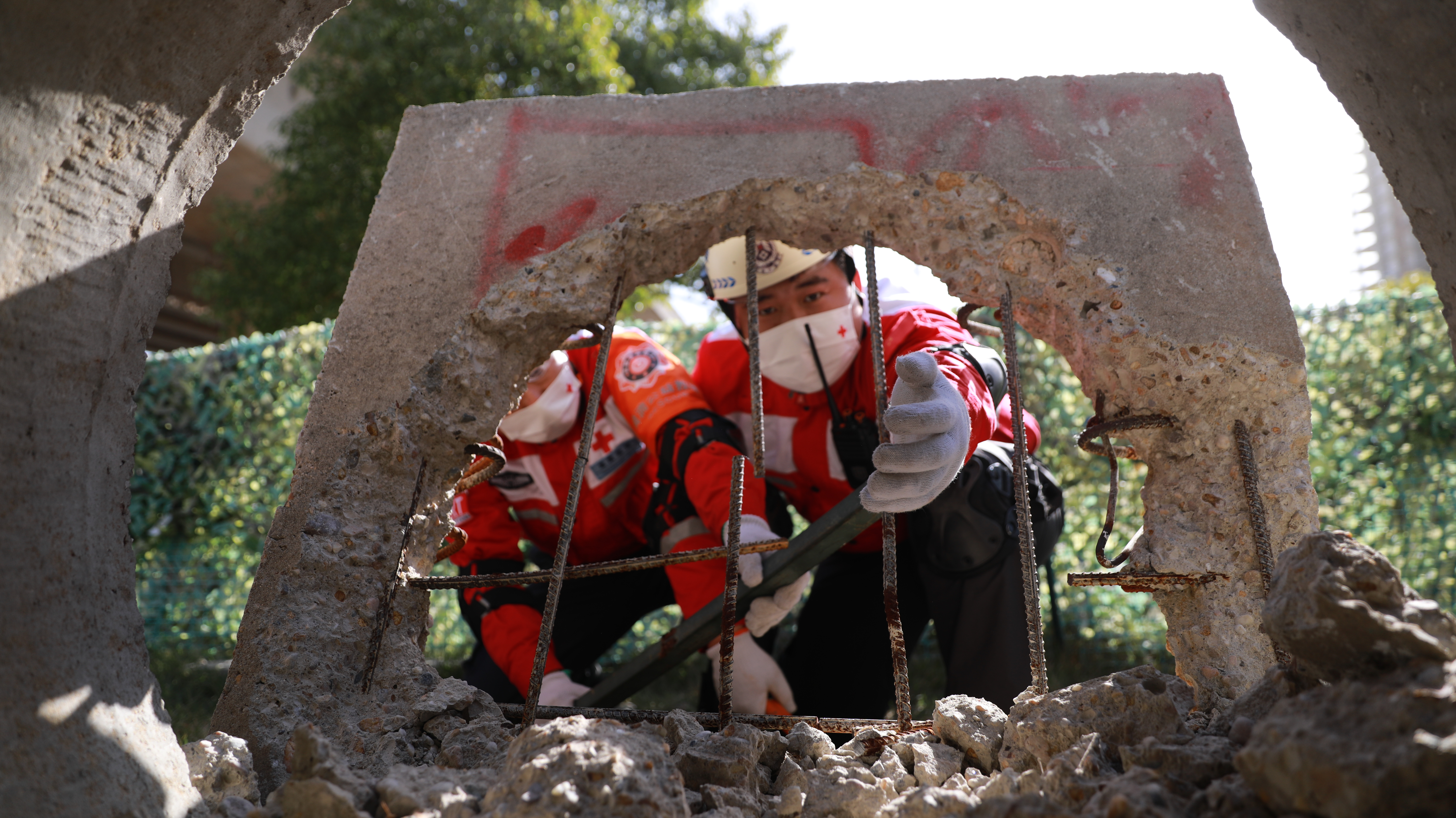 1764209620579.jpg 1764209620579.jpg