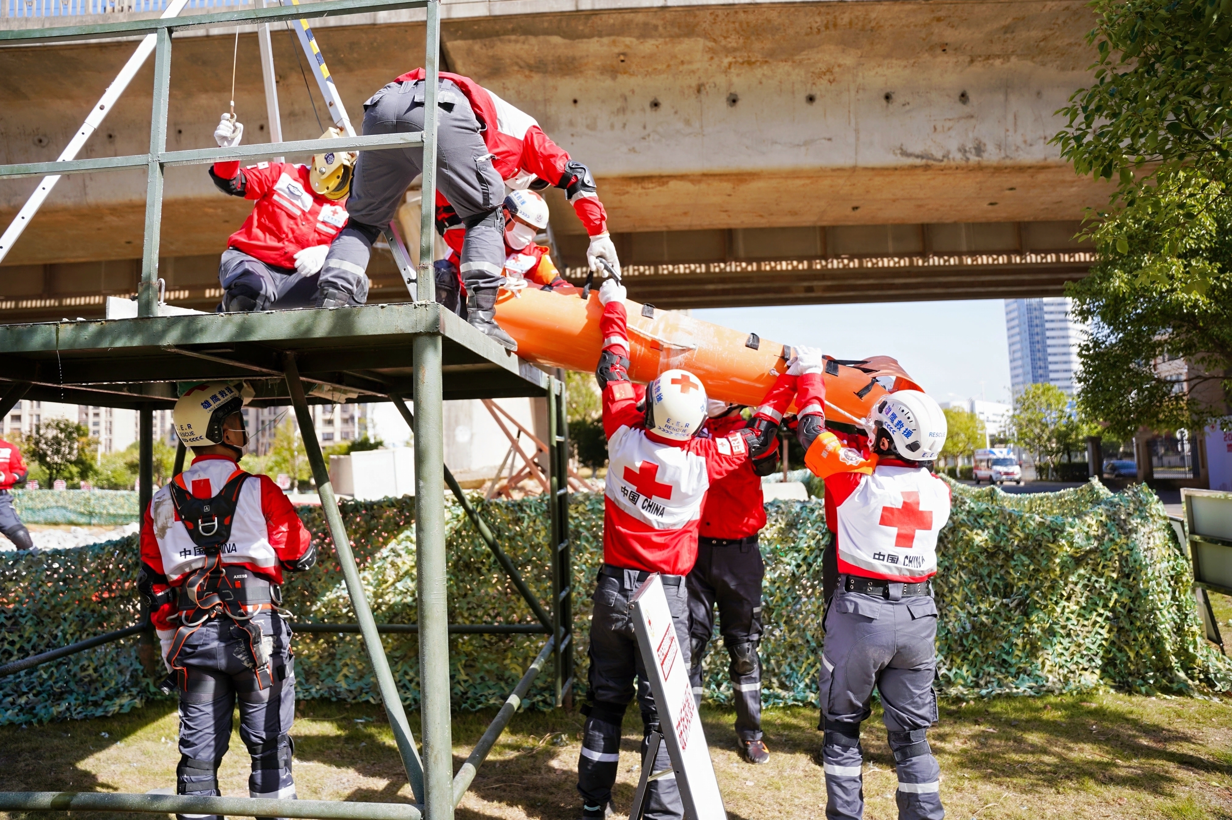 1764209654803.jpg 1764209654803.jpg