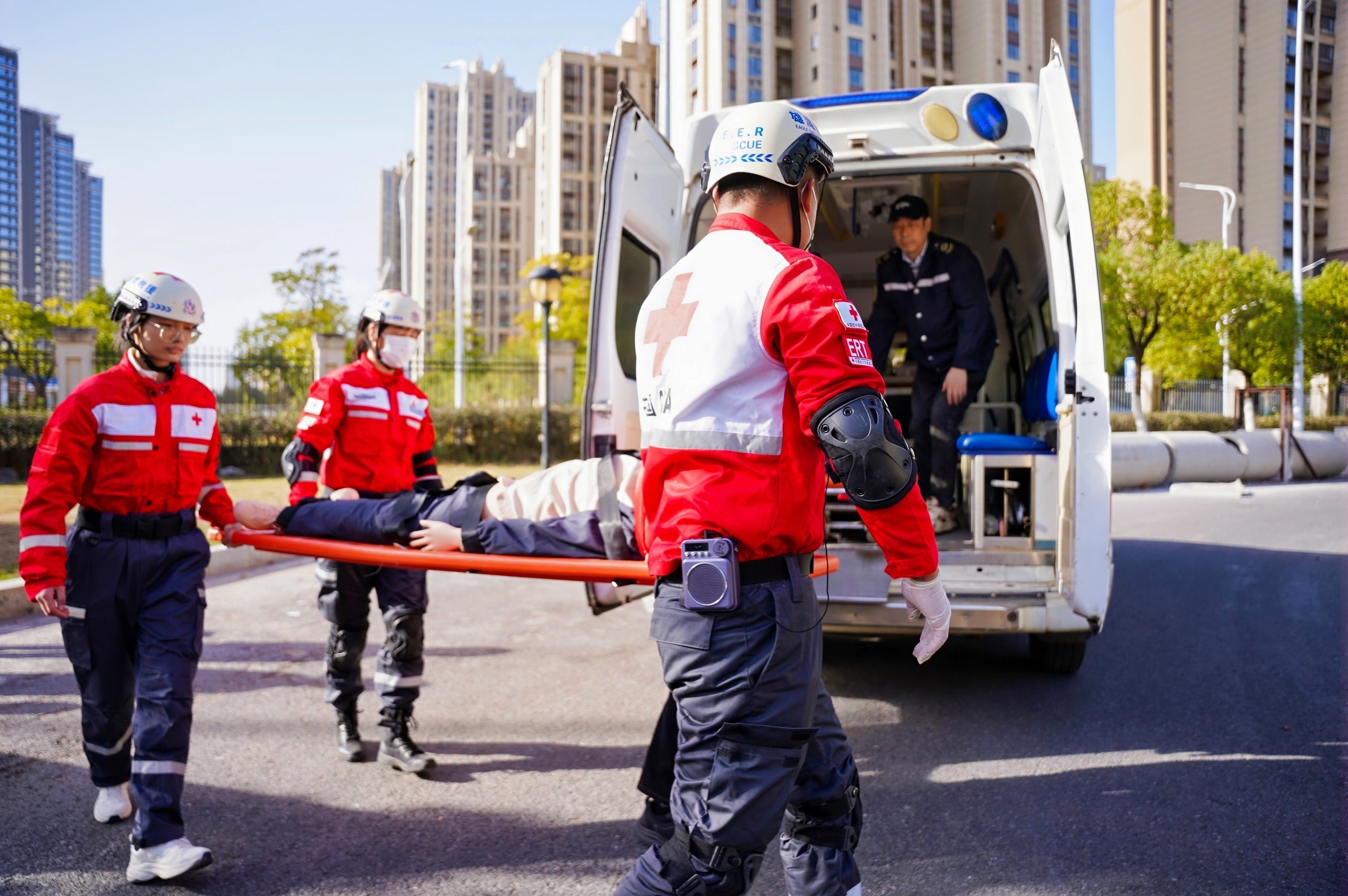 1764209709968.jpg 1764209709968.jpg