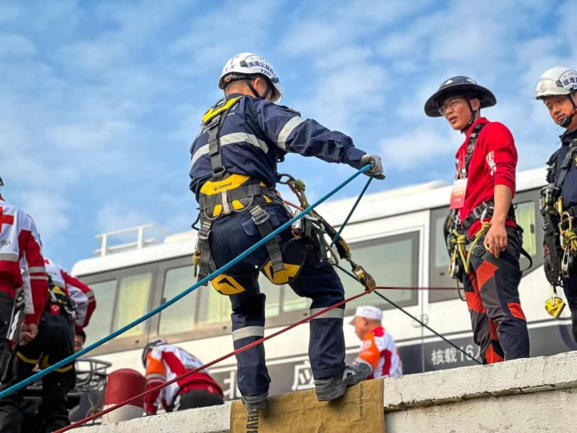 1764559530783.png 12.png