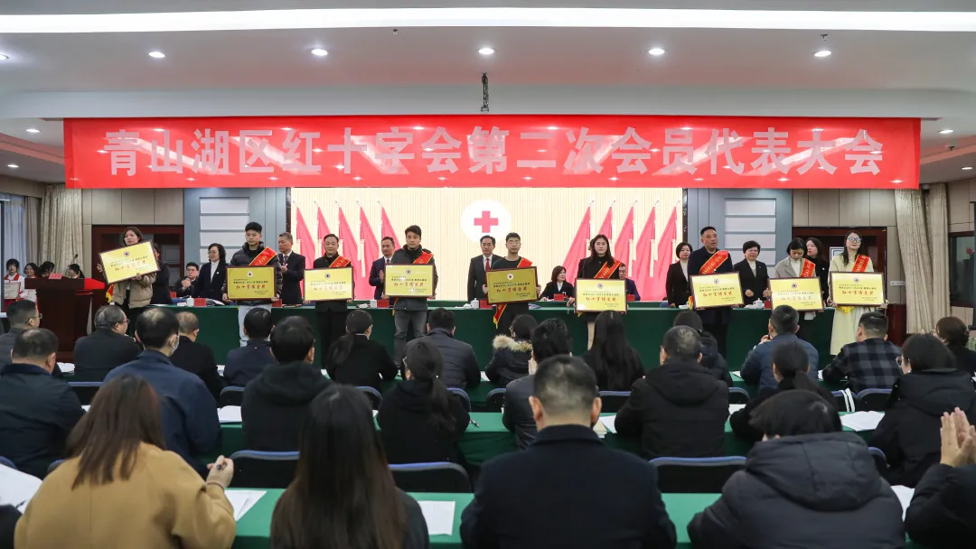 1767509040350.png 7.png